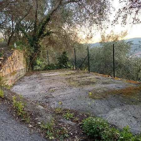 La Casa Della Musica 因佩里亚